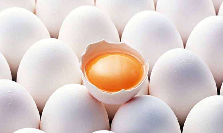Украина теряет экспорт яиц
