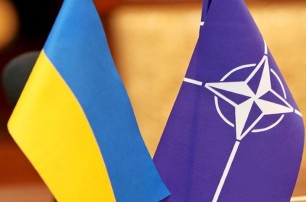 НАТО отложило начало переговоров с Украиной – WSJ