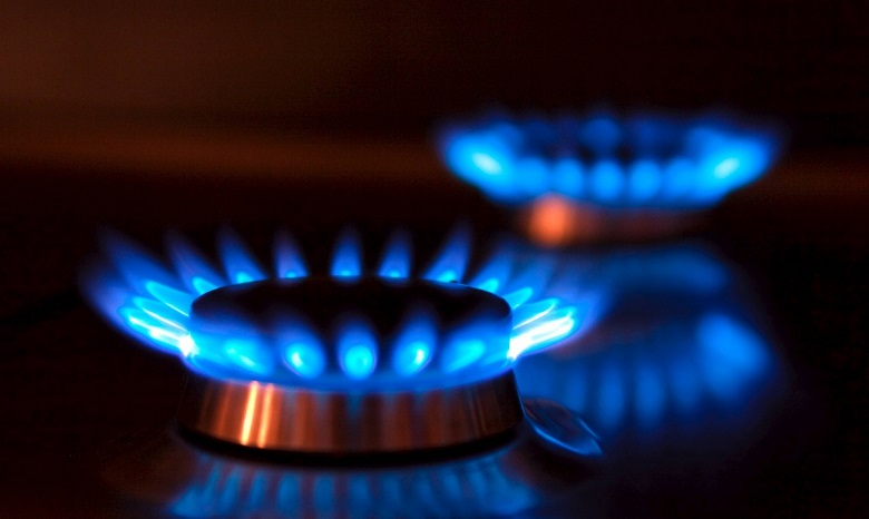 В Украине разделили плату за газ и его доставку