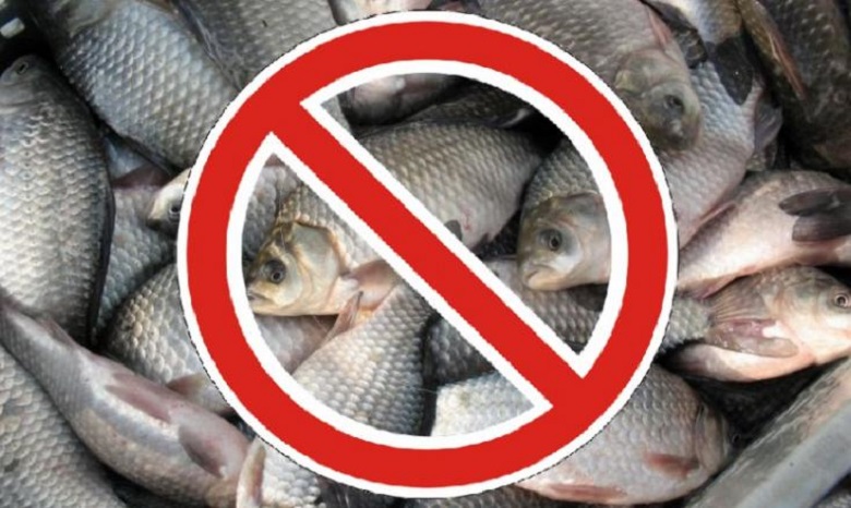 С 1 апреля запрещена рыбная ловля в киевских водоемах