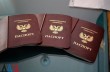 170 тысяч "паспортов" выдали в ДНР