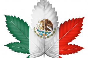 Министр туризма Мексики выступил за легализацию марихуаны