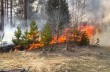 Лесной пожар на Херсонщине