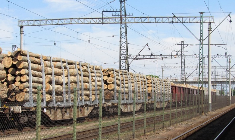 Из Украины вывозятся миллионы тонн древесины под видом дров "длиной в 2 метра" для изготовления мебели в ЕС