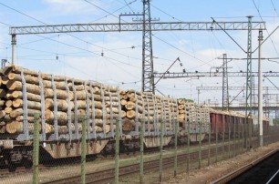 Из Украины вывозятся миллионы тонн древесины под видом дров "длиной в 2 метра" для изготовления мебели в ЕС