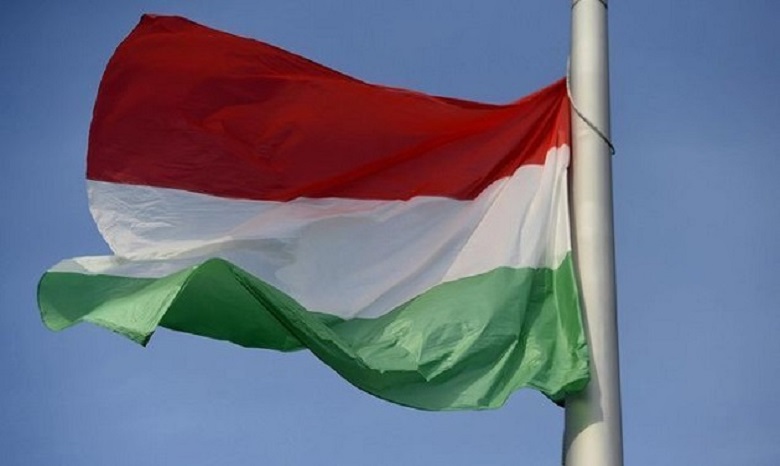 Раздача венгерских паспортов в Берегово: СБУ начала расследование