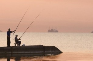 Из-за конфликта в Азовском море пострадает рыбная отрасль