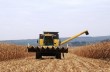 Кому принадлежат крупнейшие агрохолдинги Украины