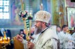 Митрополит Антоний (Паканич) рассказал православным, как правильно встретить праздник Вознесения Господня