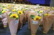 Церемония возложения цветов и минута молчания: в Нидерландах почтили память жертв катастрофы Боинга-777