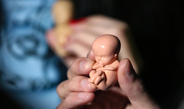 В Голосеевском монастыре психологи и врачи-гинекологи расскажут, как уговорить беременных не делать аборт