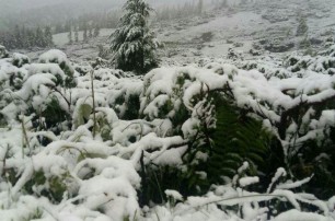 Карпаты засыпало снегом, спасатели просят не ходить в горы