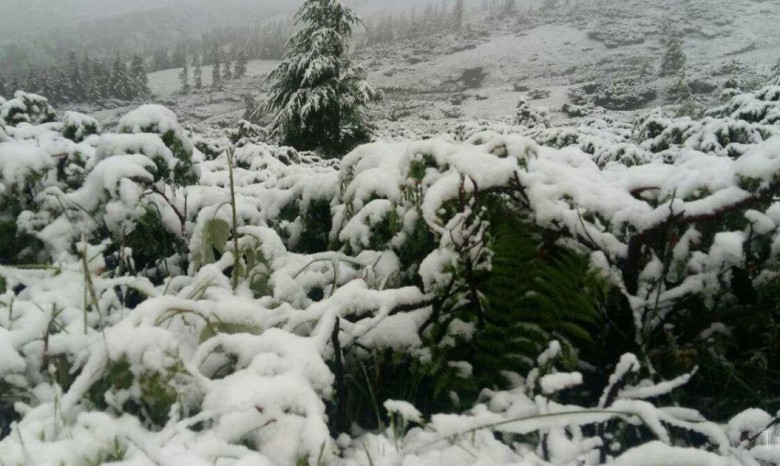 Карпаты засыпало снегом, спасатели просят не ходить в горы