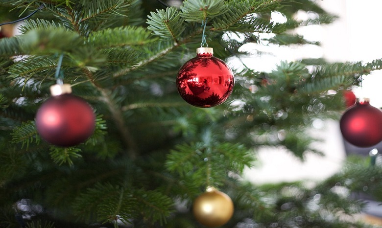 Митрополит ПЦУ поддержал инициативу активистов о праздновании Рождества 25 декабря