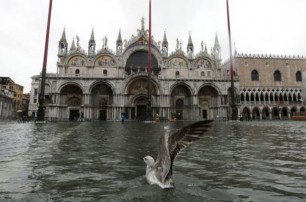 Эпидемия коронавируса оказала неожиданное влияние на каналы Венеции