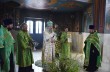 Запорожский митрополит УПЦ призвал верующих не переживать из-за того, что не попали в храм в Вербное воскресенье