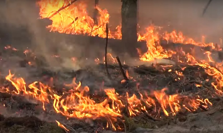 Аваков: Нацгвардия начала антидиверсионную операцию из-за поджогов в лесах