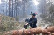 На Житомирщине ликвидирован лесной пожар, под Чернобылем – до сих пор тлеет трава