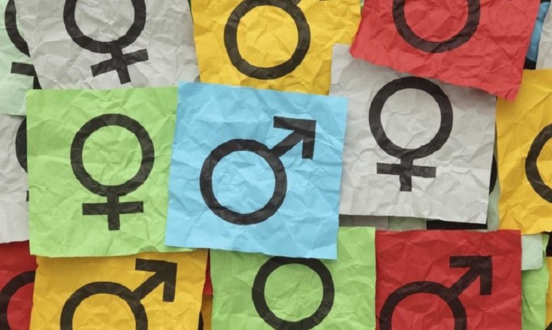 Совет Церквей призвал парламент отклонить законопроекты по внедрению гендерной идеологии