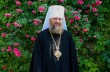 Митрополит Антоний объяснил, как православным отвечать на клевету
