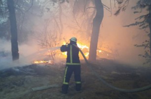 Огонь поразил 11 тысяч га в Луганской области