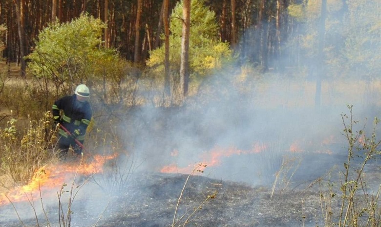 В УПЦ призвали молиться о прекращении пожаров на Луганщине