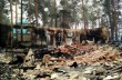 УПЦ начала сбор для пострадавших от лесных пожаров на Луганщине