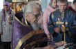 В Запорожской области 92-летний священник УПЦ победил коронавирус и поделился рецептами долголетия