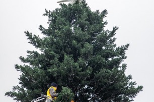 В Мариуполе монтируют 14-метровую новогоднюю елку