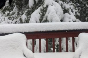В Японии из-за снегопадов погибли восемь человек