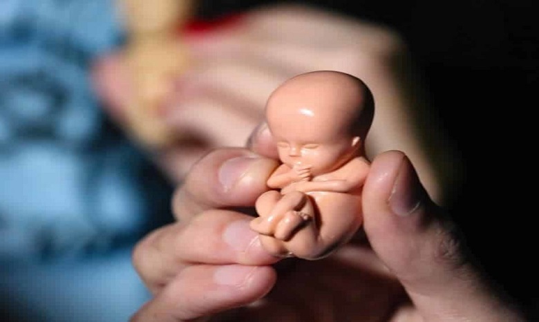 Митрополит УПЦ рассказал, допустим ли аборт, если врачи говорят о серьёзных патологиях у ребёнка