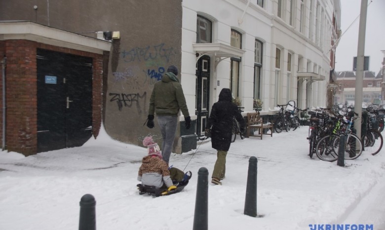 Нидерланды накрыло большим снегом