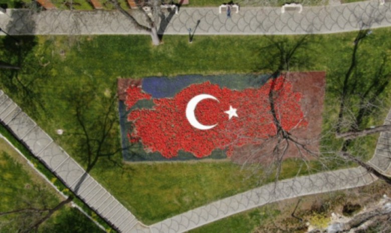 В Стамбуле высадили 8 миллионов тюльпанов