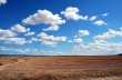В Украине стартовала продажа сельскохозяйственной земли