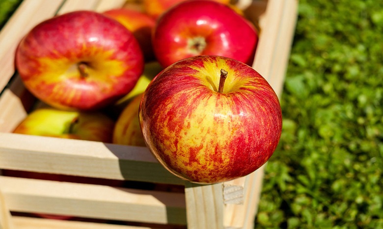 В УПЦ рассказали, можно ли есть яблоки до Яблочного спаса