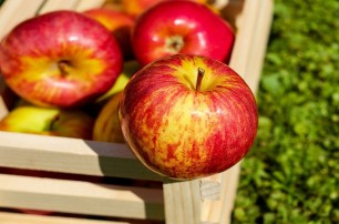 В УПЦ рассказали, можно ли есть яблоки до Яблочного спаса