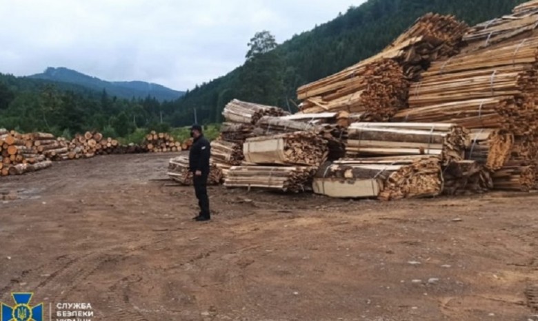 СБУ заблокировала схему продажи леса из заповедной зоны на Буковине