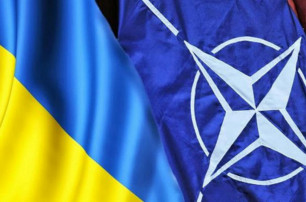 Україна очікує отримати запрошення в НАТО без ПДЧ